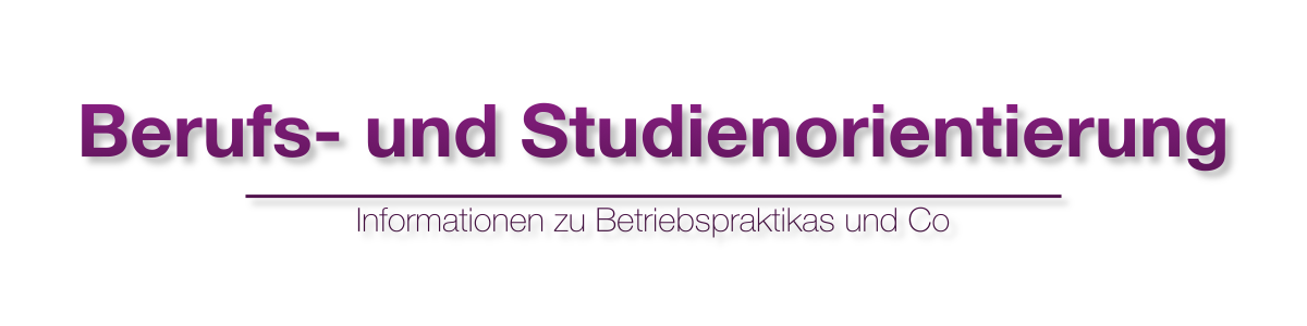 Berufsberatung am LLG